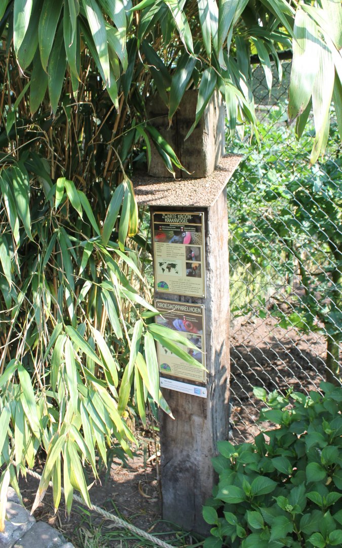 Signs Crowned crane and Guineafowl