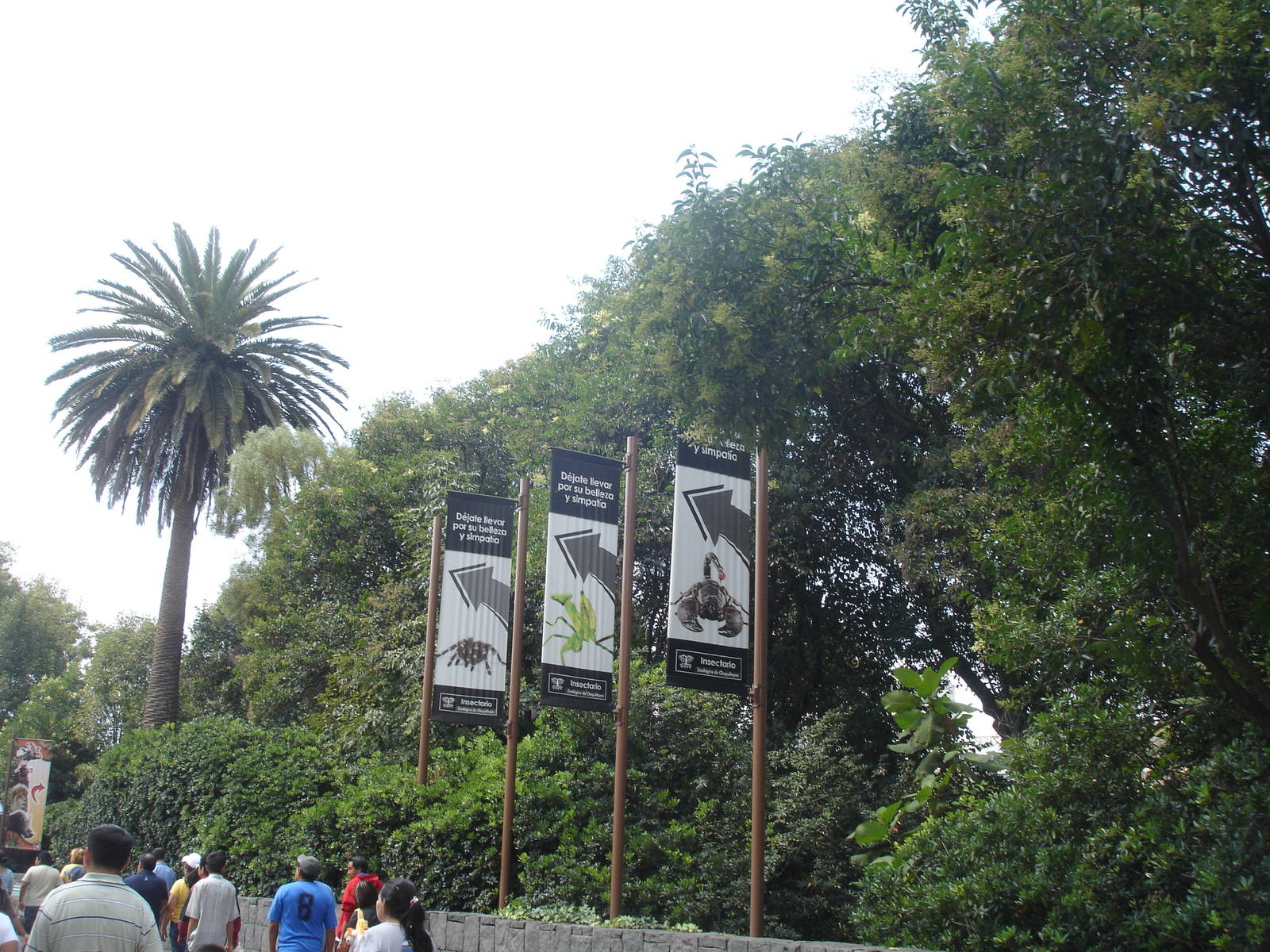 Signs directing to Arthropods