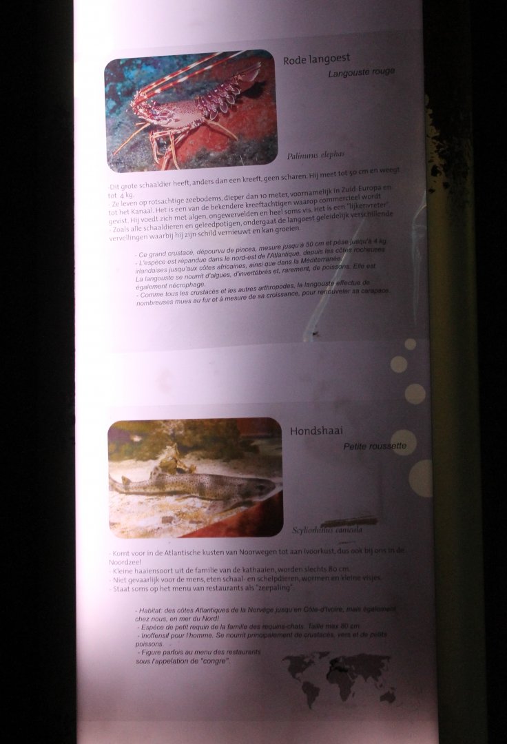 Signs empty aquarium