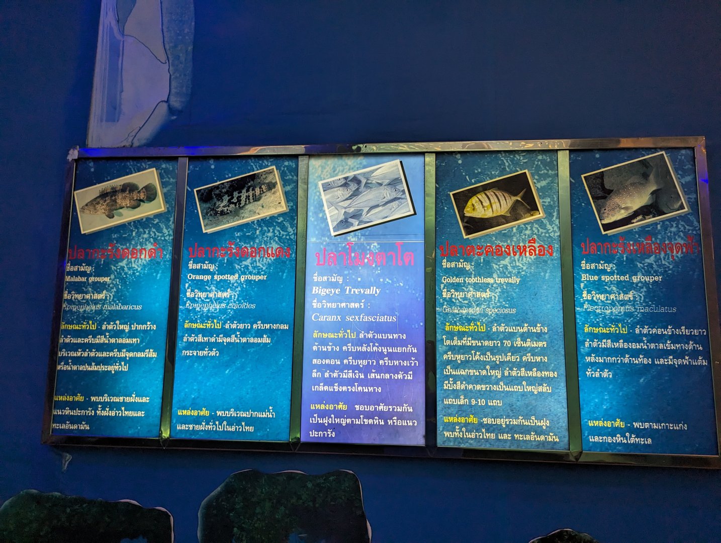 Signs Example - Rayong Aquarium