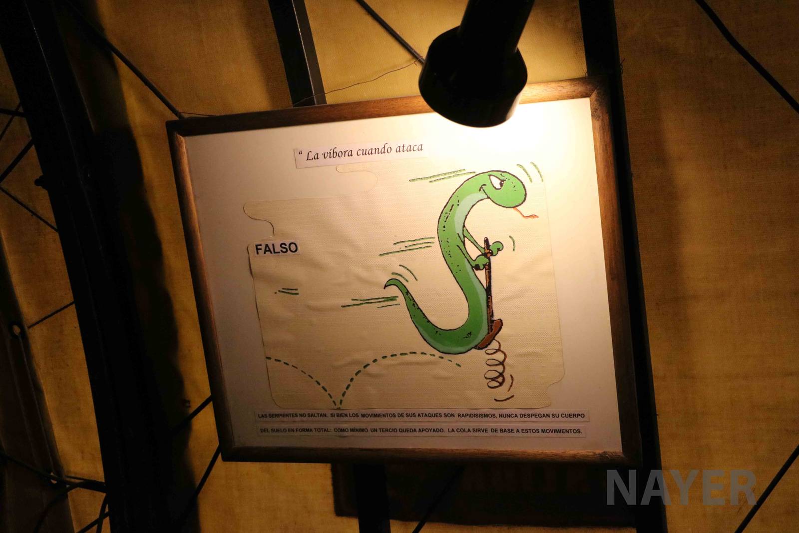 Signs falsifying myths - Mendoza Serpentarium ('Centro Anaconda'), April 20