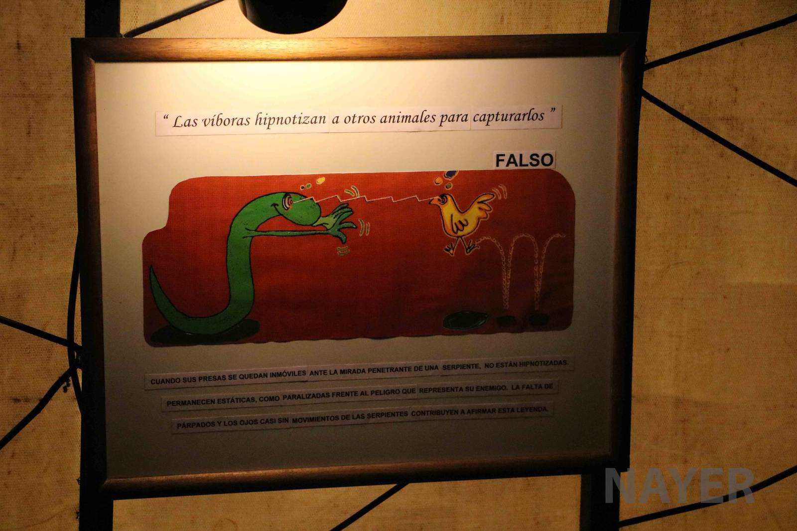 Signs falsifying myths - Mendoza Serpentarium ('Centro Anaconda'), April 20