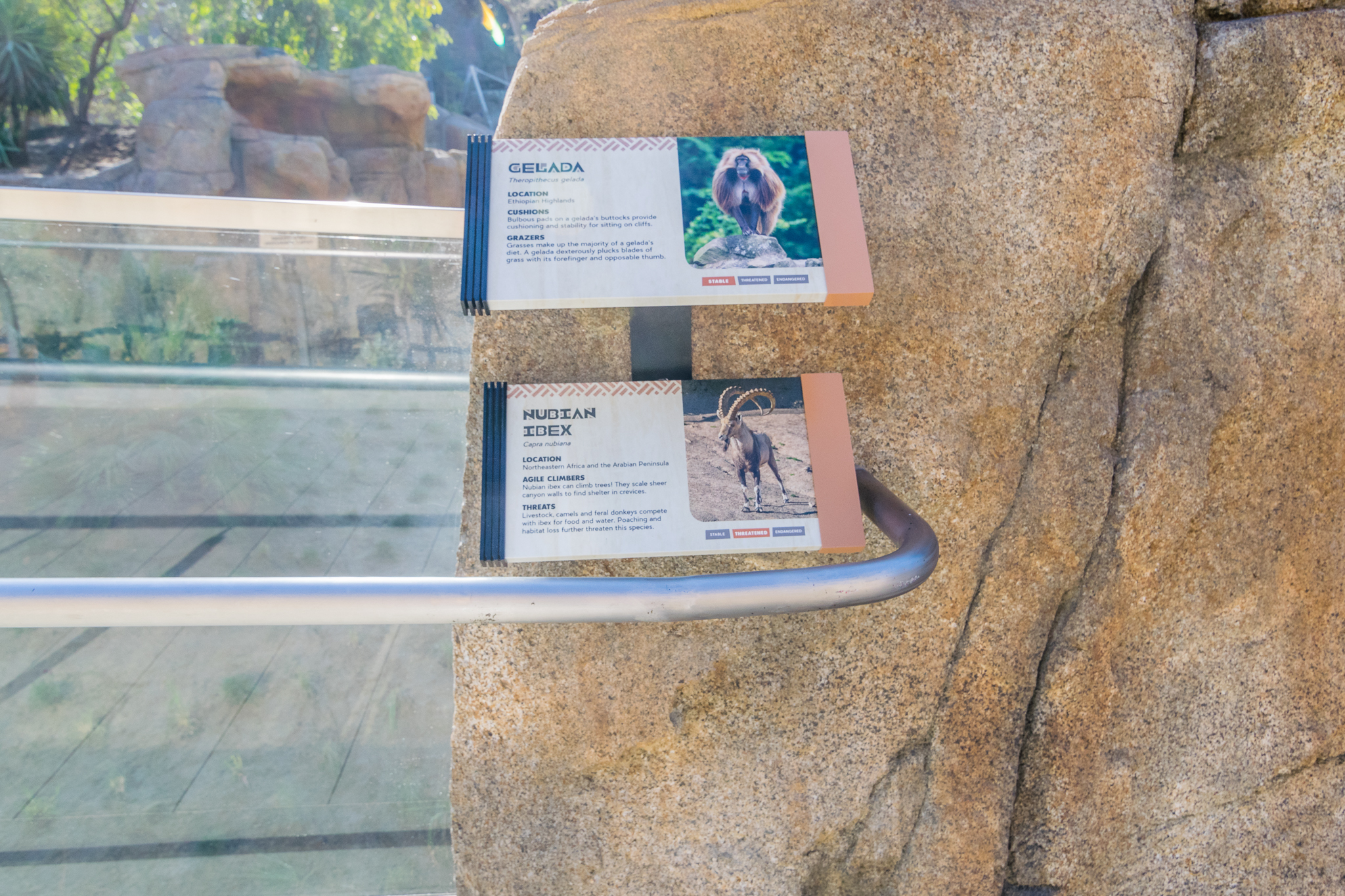 Signs for a planned mixed species exhibit.