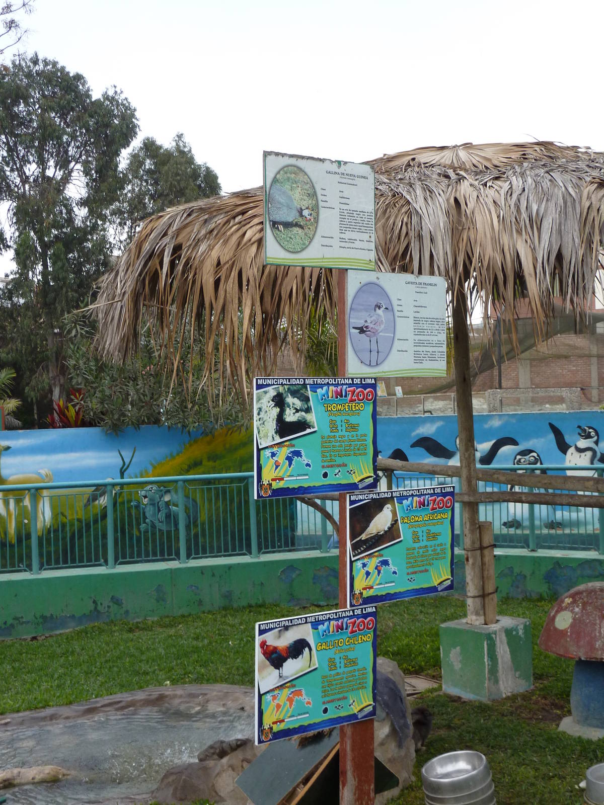 Signs for animals in the mini-zoo paddock