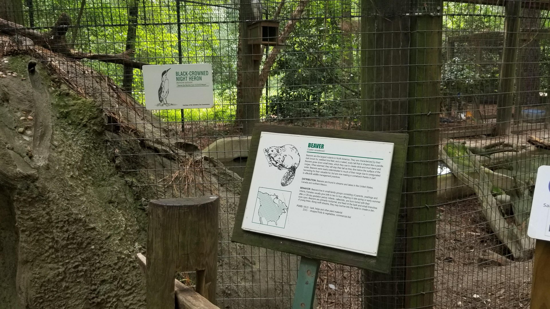 Signs for beaver and heron