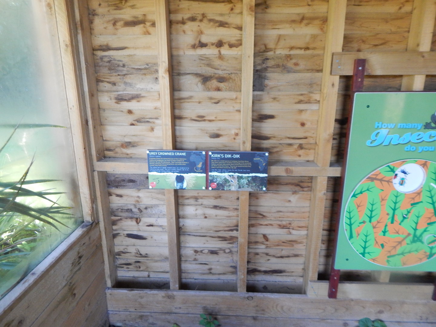 Signs for Grey crowned=crane and Kirk's Dik-dik enclosure 230922