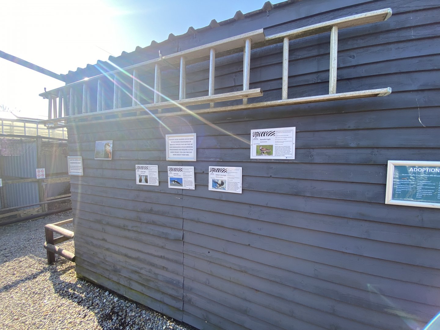 Signs for larger birds of prey on display 020315