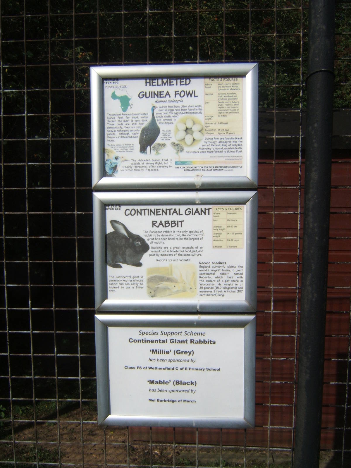 Signs for mixed exhibit