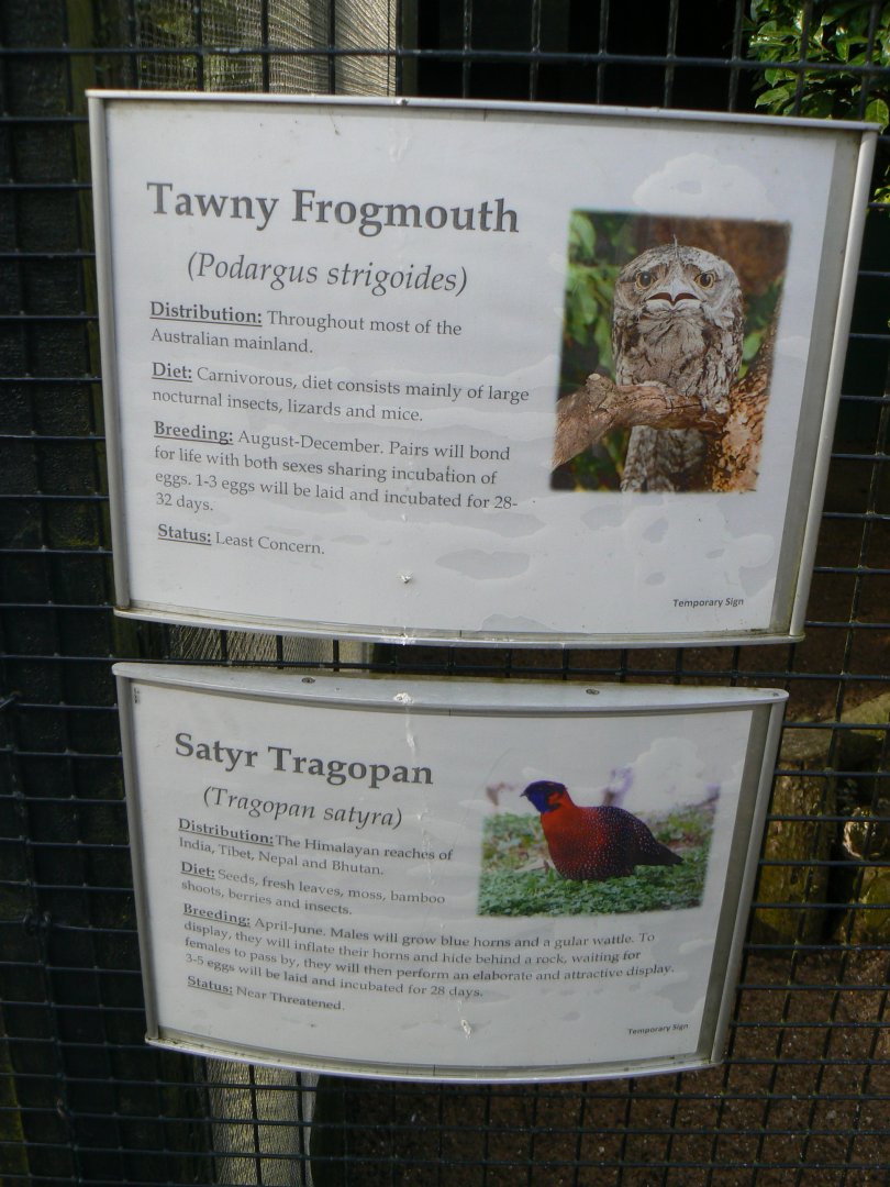 Signs for New Species - 4 March 2017