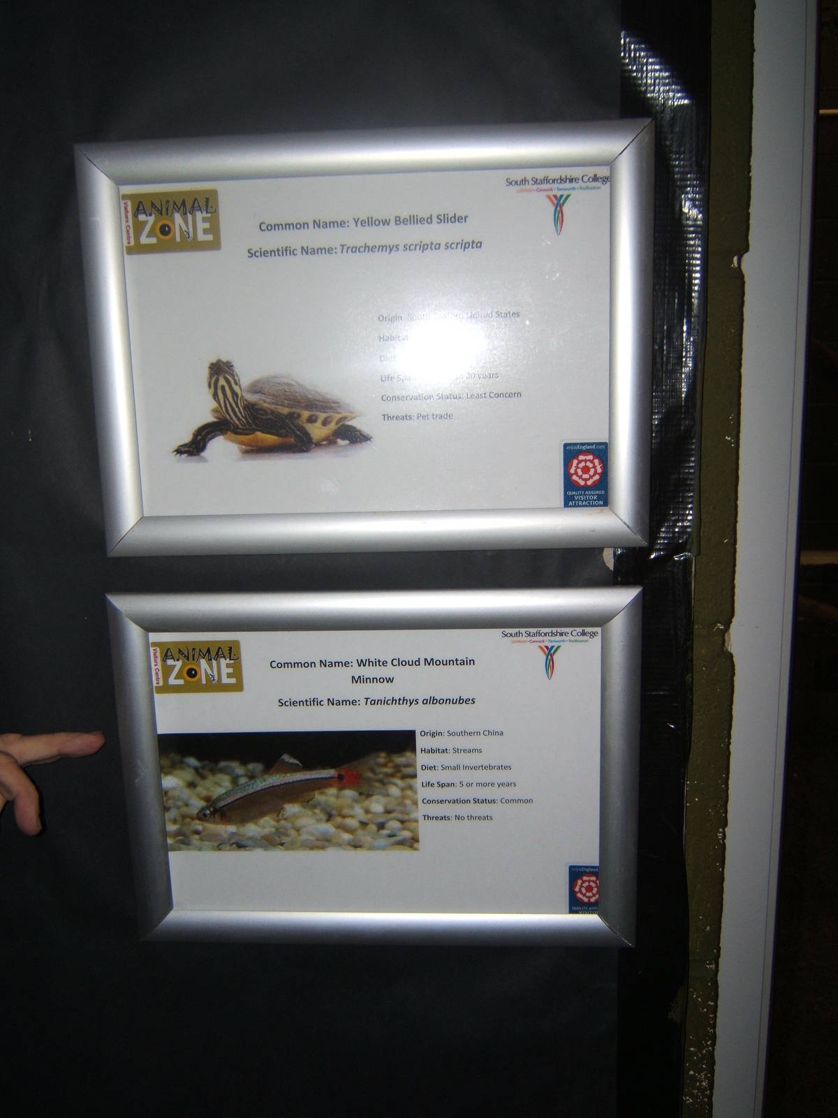 Signs for part of a four species mixed exhibit