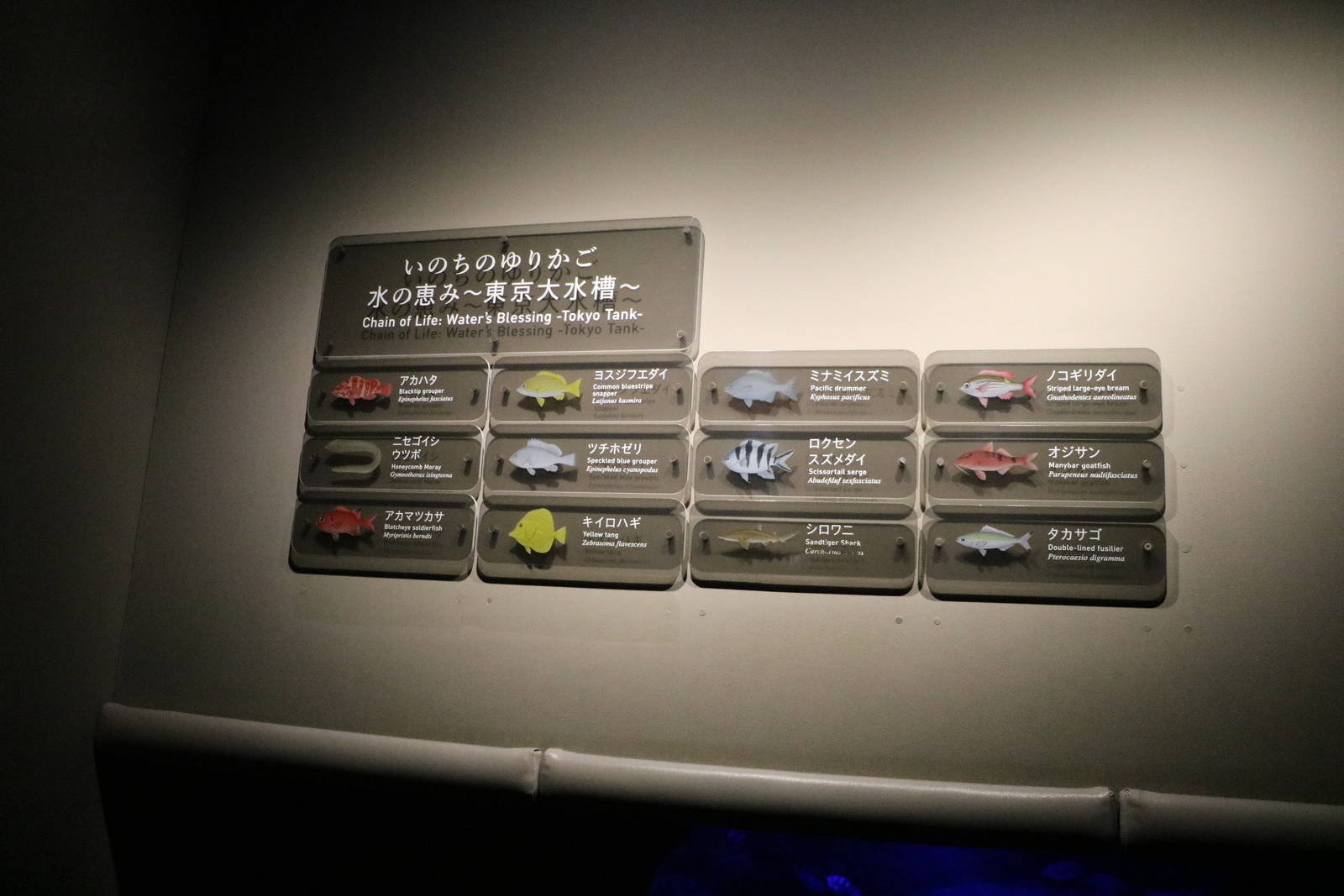 Signs for the Tokyo tank - Sumida Aquarium, February 2016