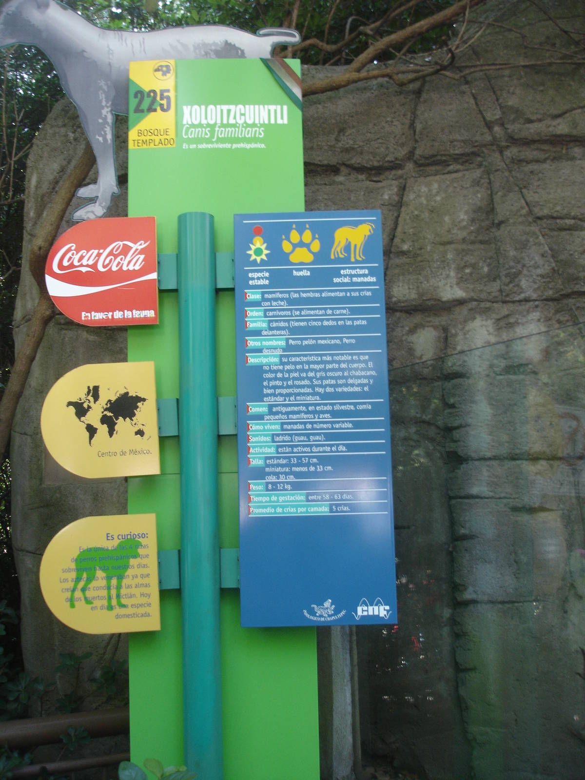 Signs for Xoloitzcuintli