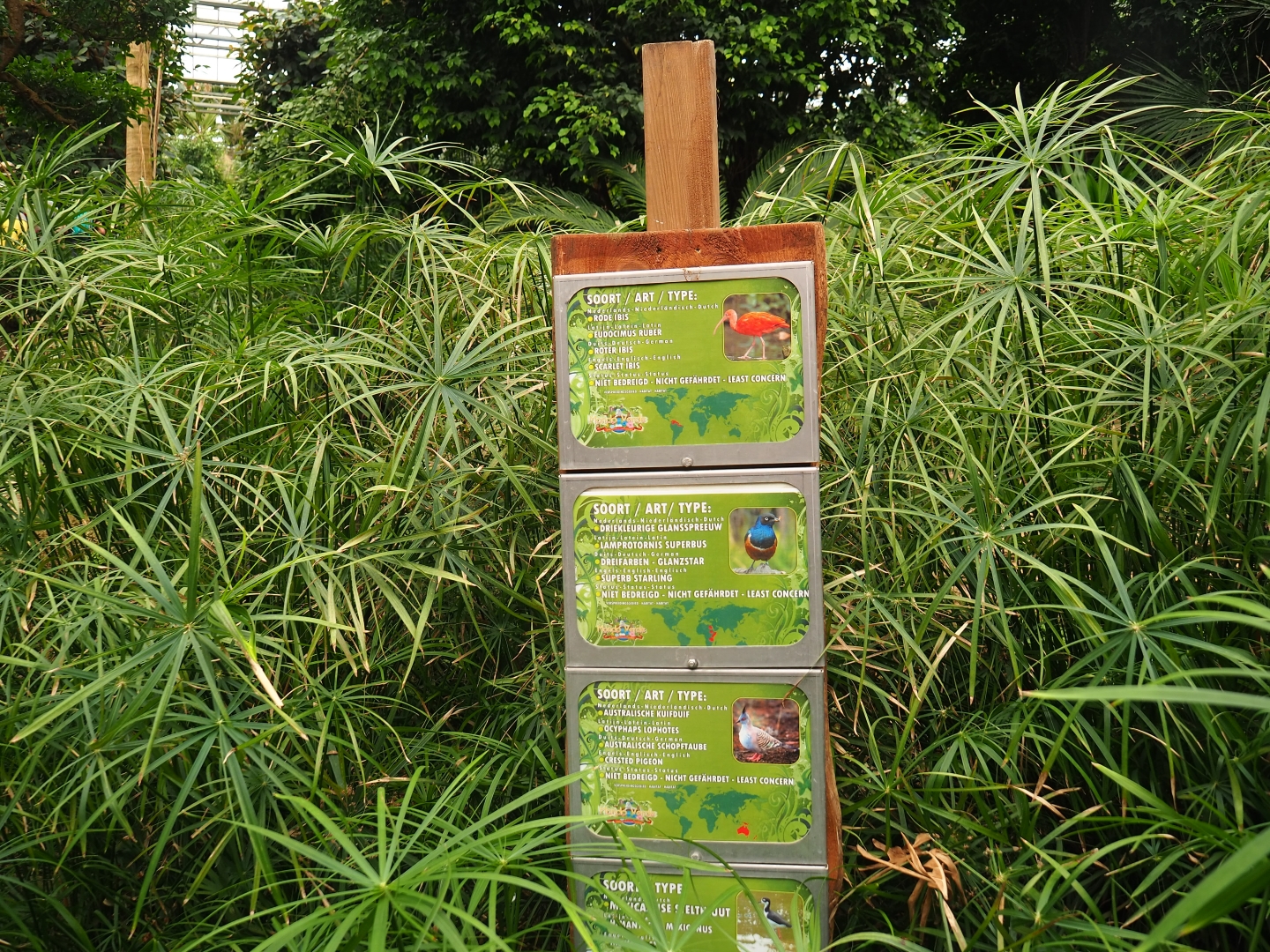 Signs free-ranging birds and vegetation (Aug 28th, 2018)