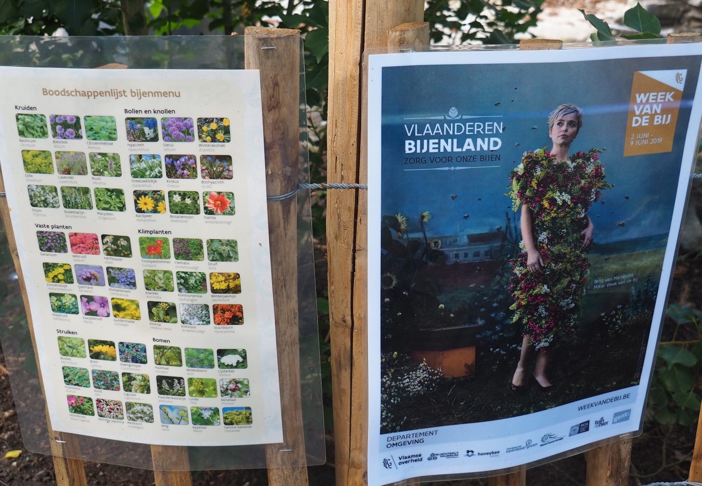 Signs good plants for bees and Flemish government bee campaign, 2019-08-11