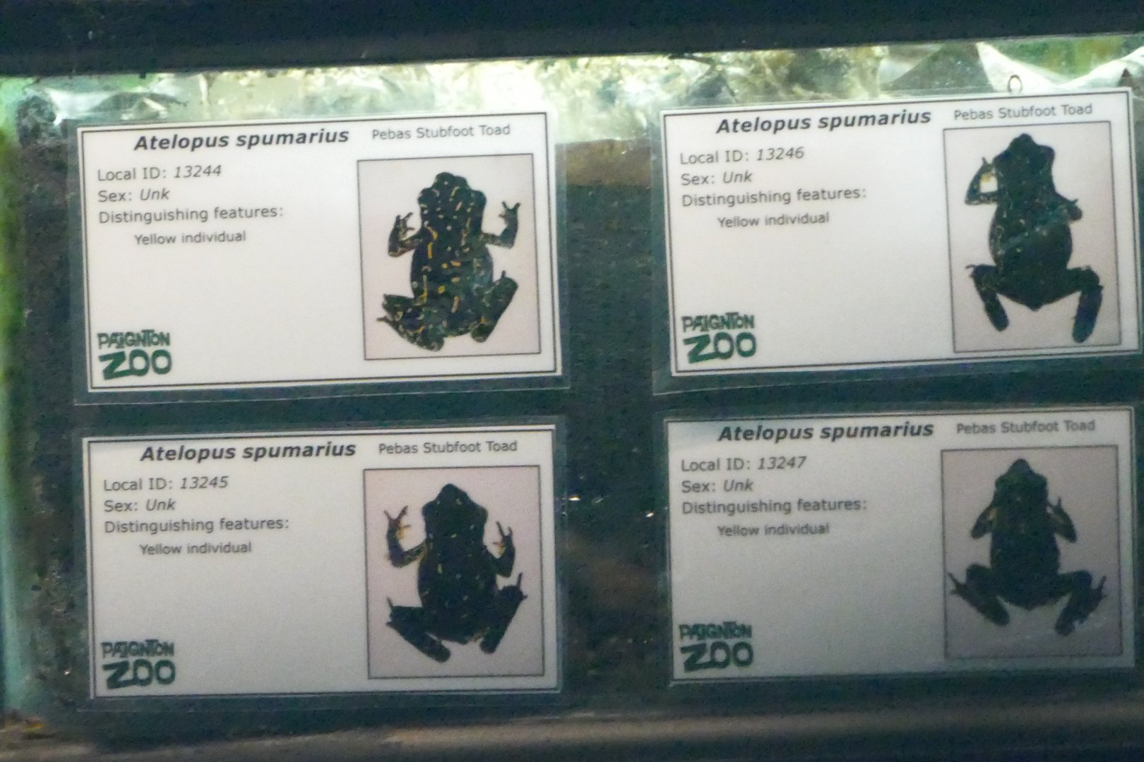 Signs in Amphibian Ark, March 2018