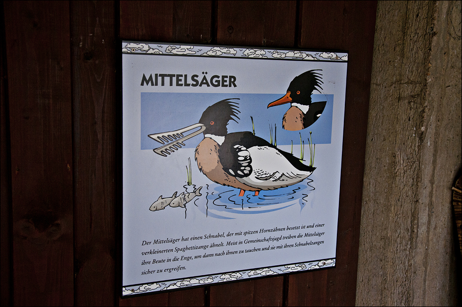 Signs in the sea bird aviary at Münster