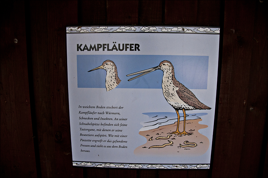 Signs in the sea bird aviary at Münster