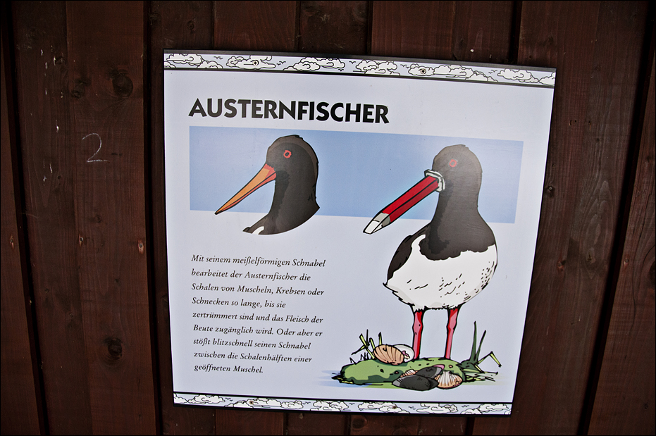 Signs in the sea bird aviary at Münster