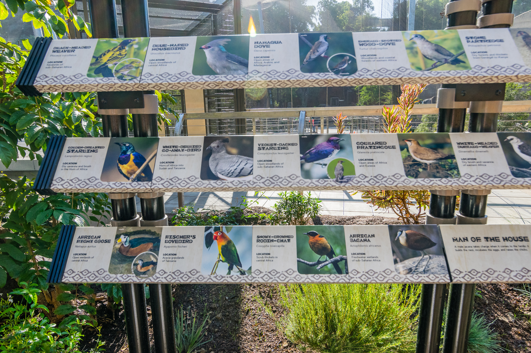 Signs inside lower part of aviary.