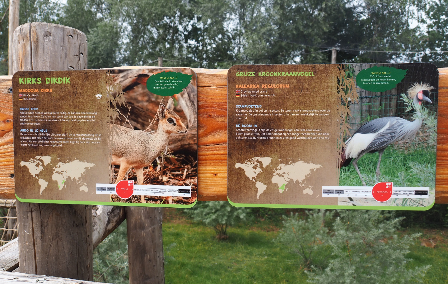 Signs Kirk's dik-dik and Grey crowned crane, 2019-08-11