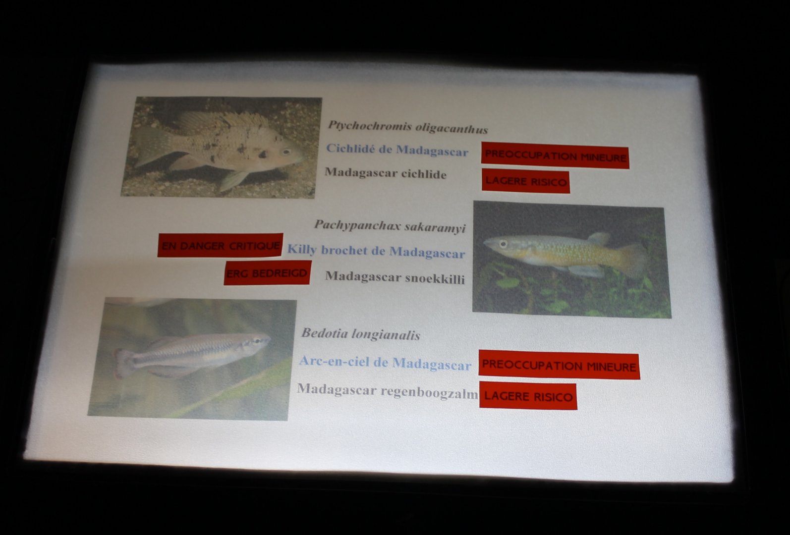 Signs Madagascar Aquarium