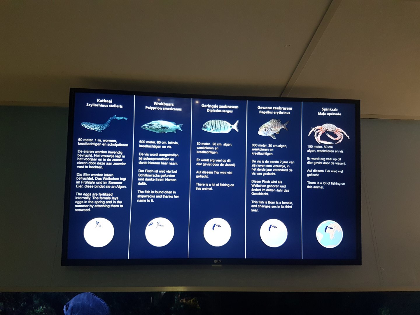 Signs Mediterranean aquarium