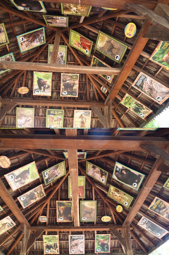 Signs of endangered species breeding results at Planckendael, 2020-09-16