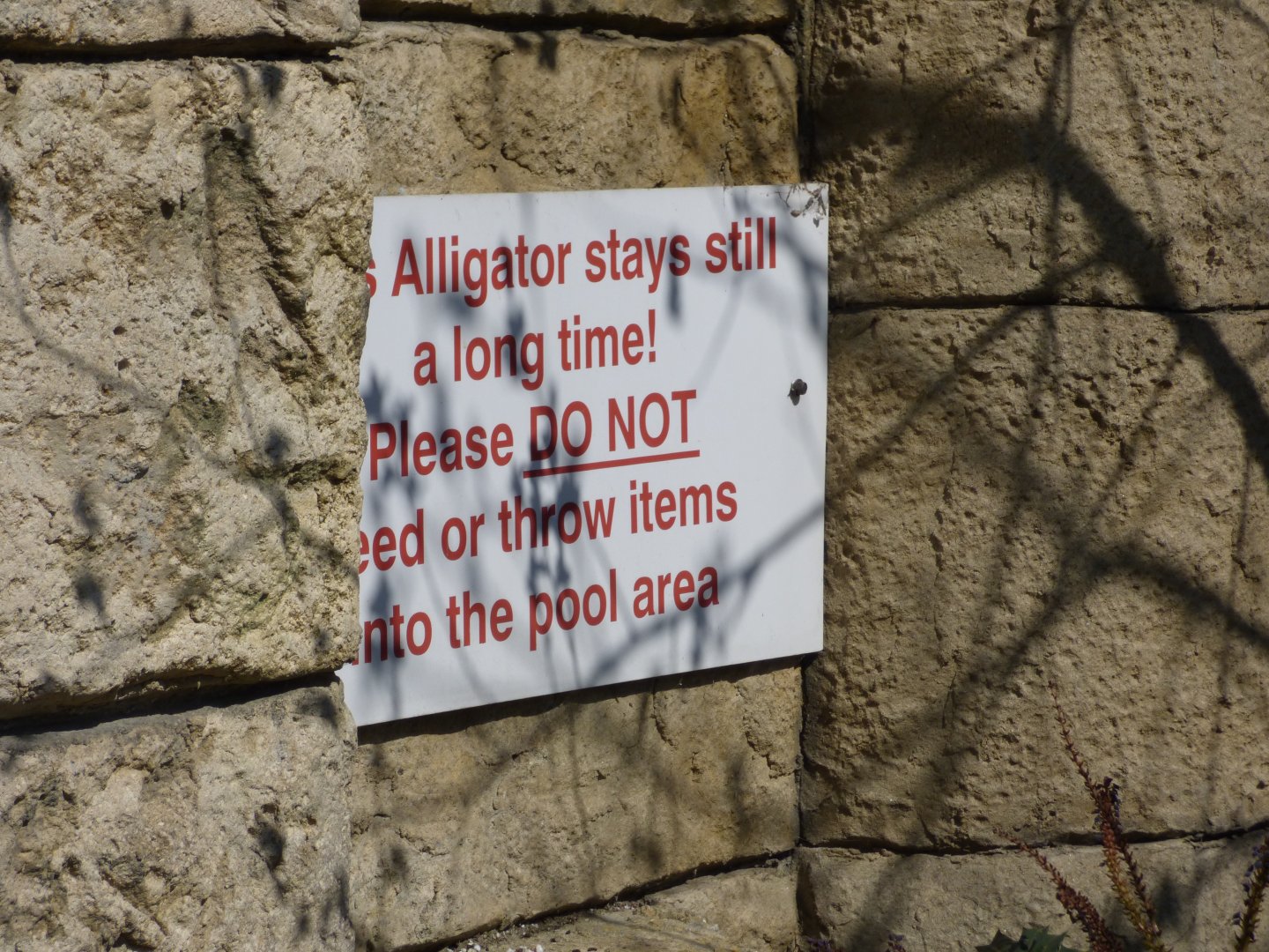 Signs on Chinese Alligator Outdoor Pool
