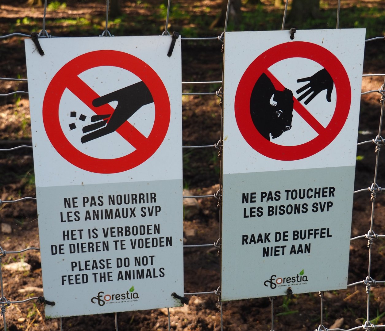 Signs Please do not feed or touch the wisent, 2021-05-29