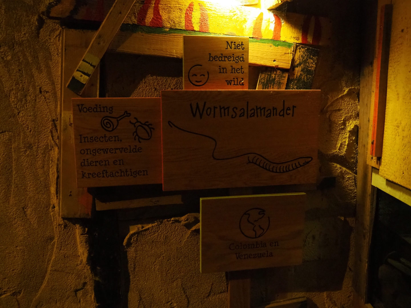 Signs Rio Cauca caecilian (Typhlonectes natans)