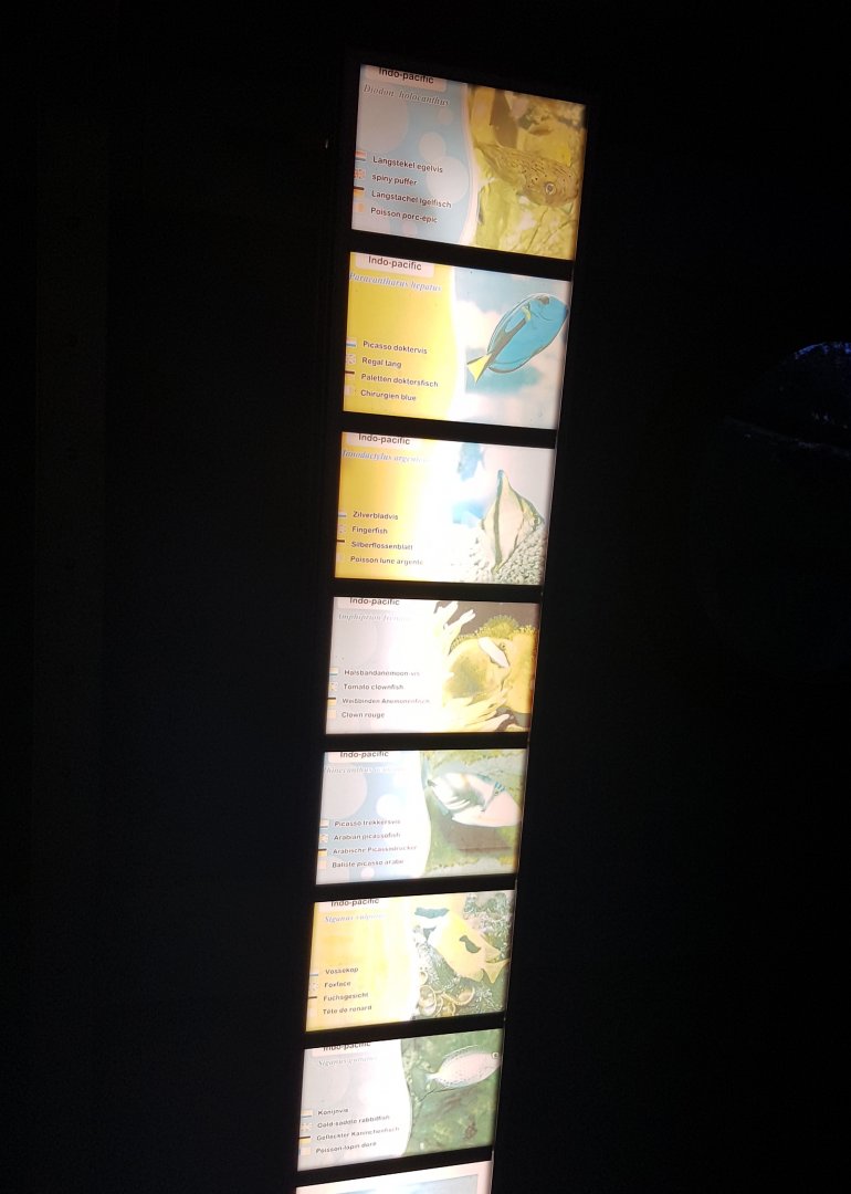 Signs Submarine-aquarium