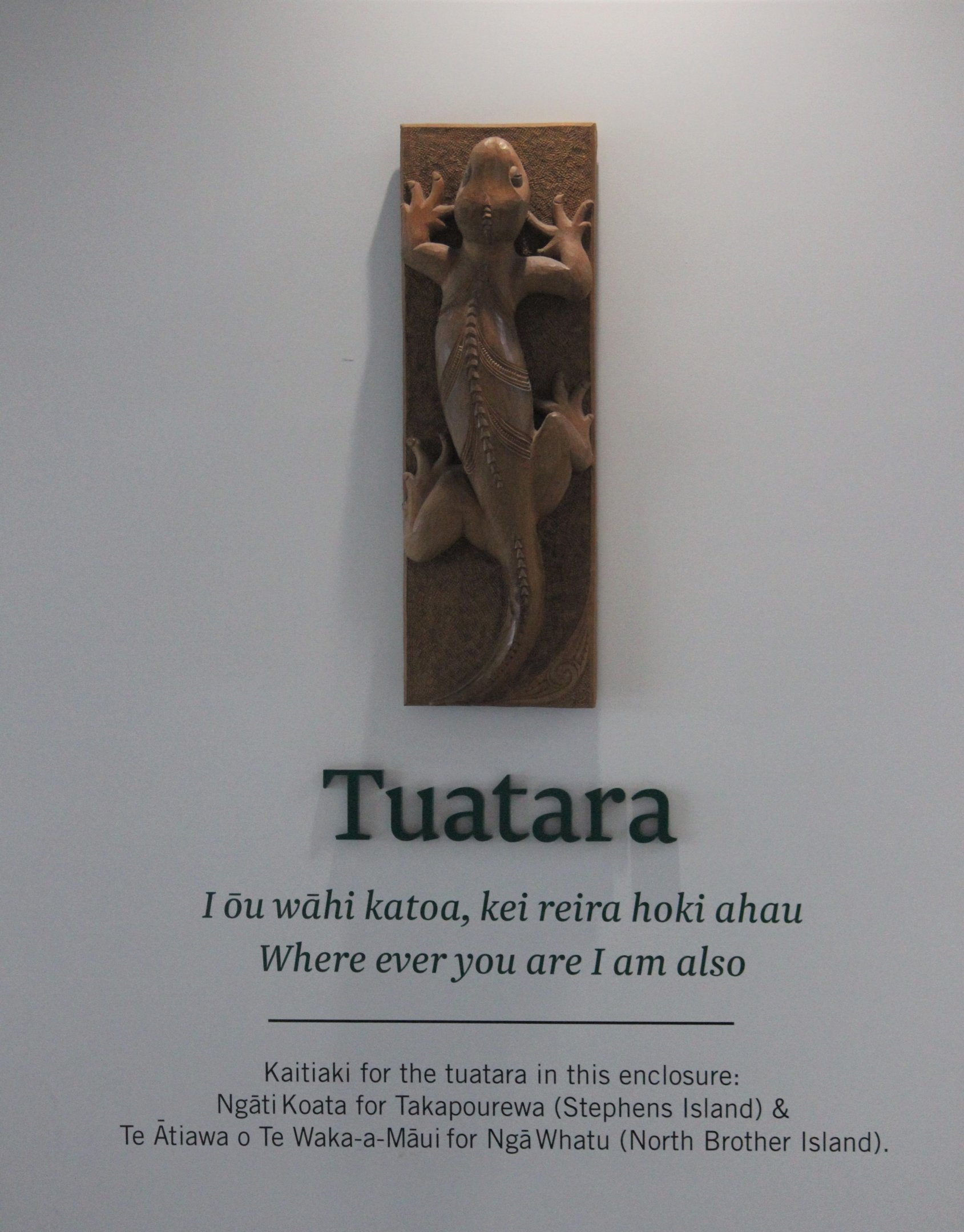 Signwork & Artwork, Victoria University Tuatara Enclosure