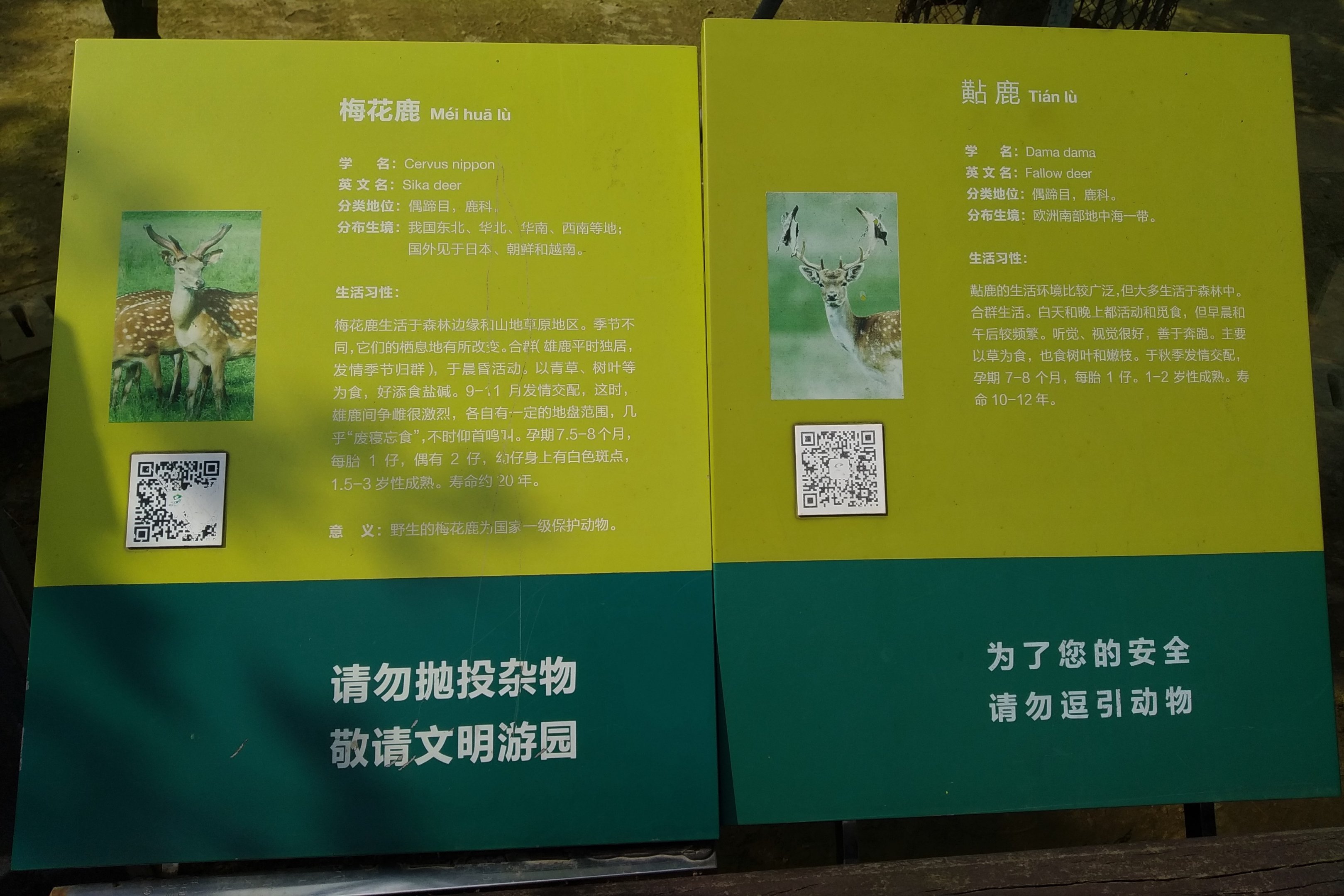 Sika and Fallow Deer Signage