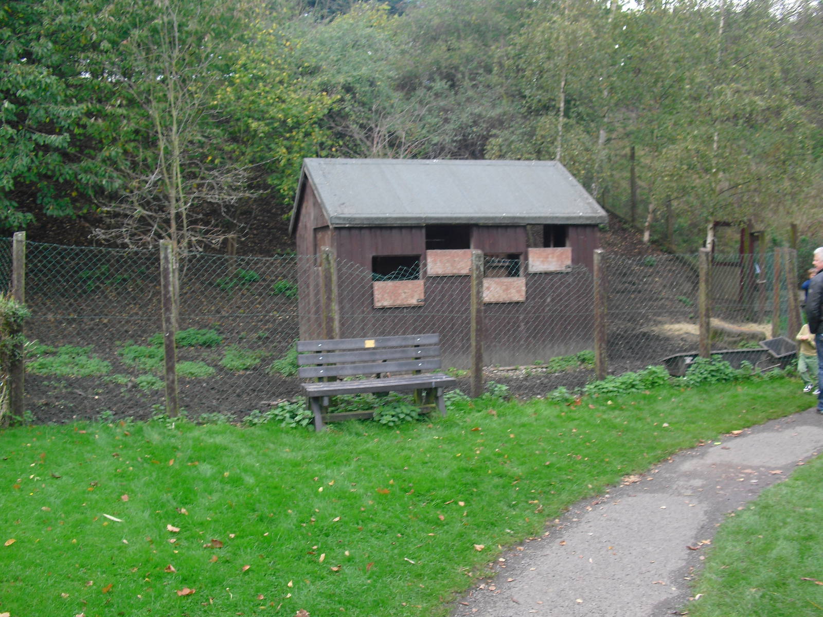 Sika Deer Enclosure - 16/10/2011