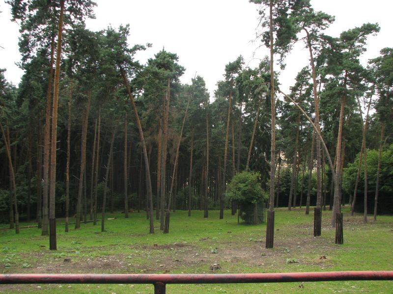 Sika deer enclosure at Zoo Olomouc