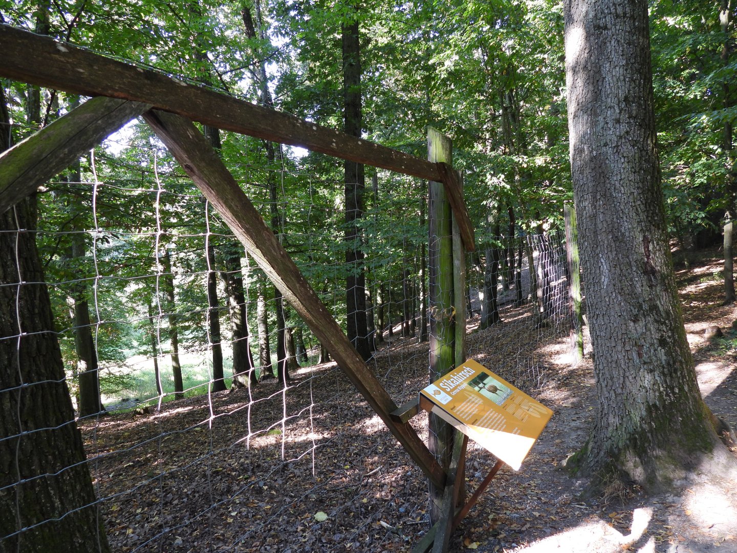 Sika deer exhibit - Naturpark Geras