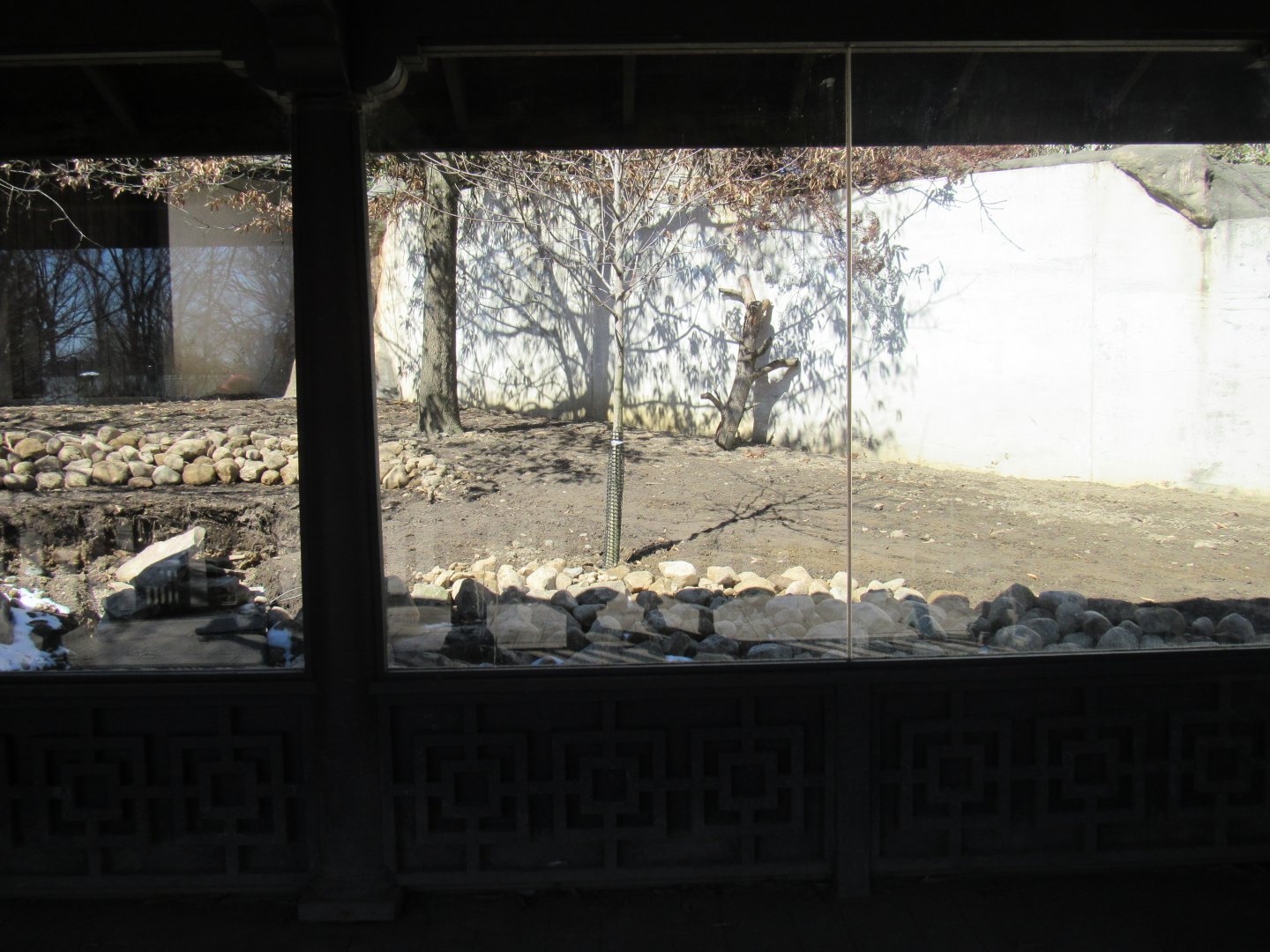 Sika Deer Exhibit Renovation