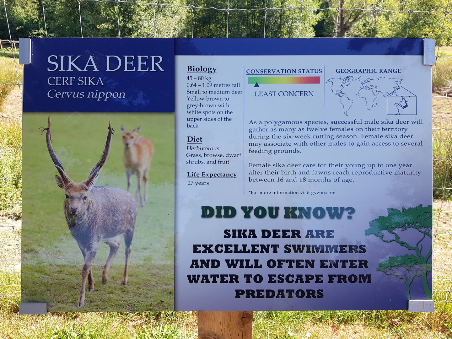 Sika Deer Sign
