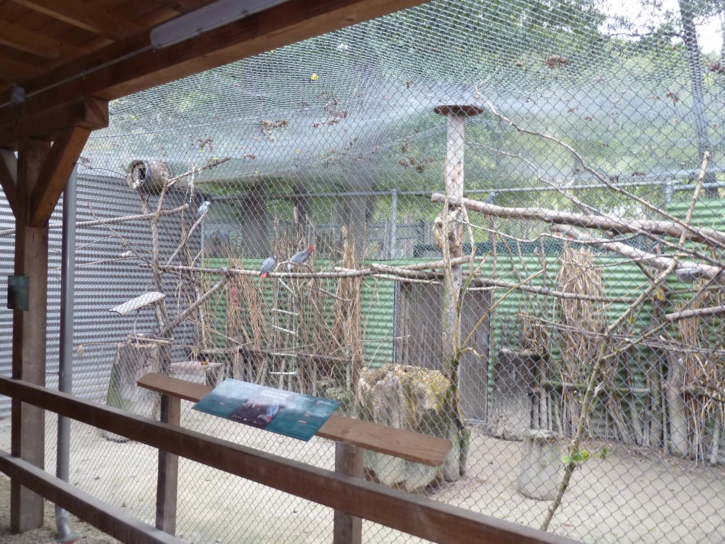Sikypark Crémines - African grey parrot aviary