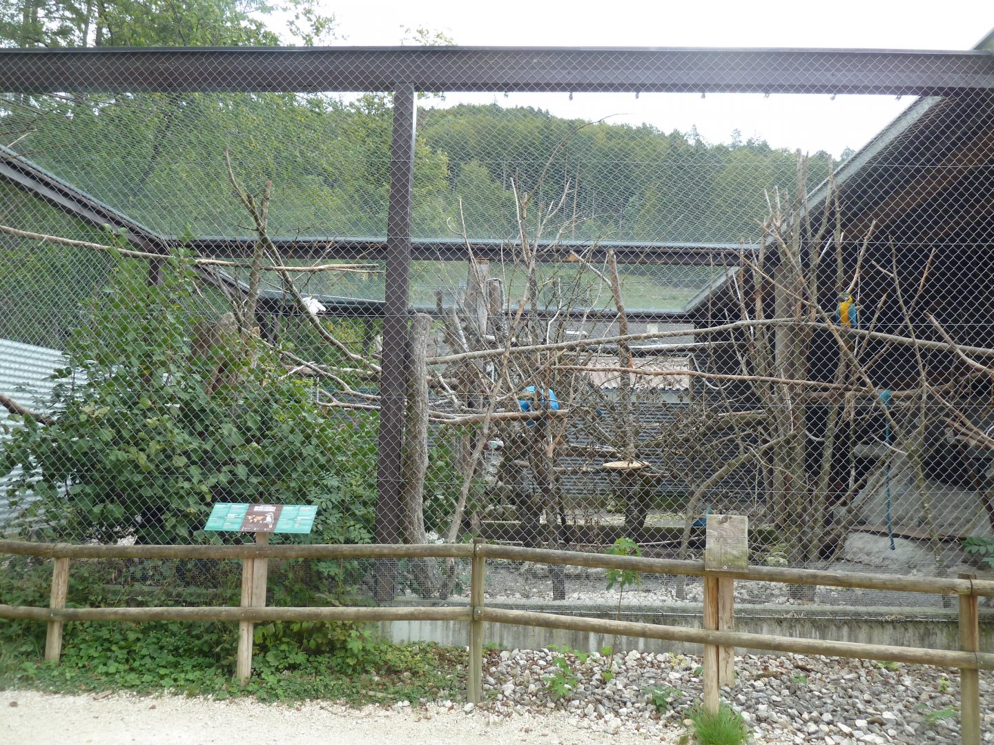 Sikypark Crémines - Aviary