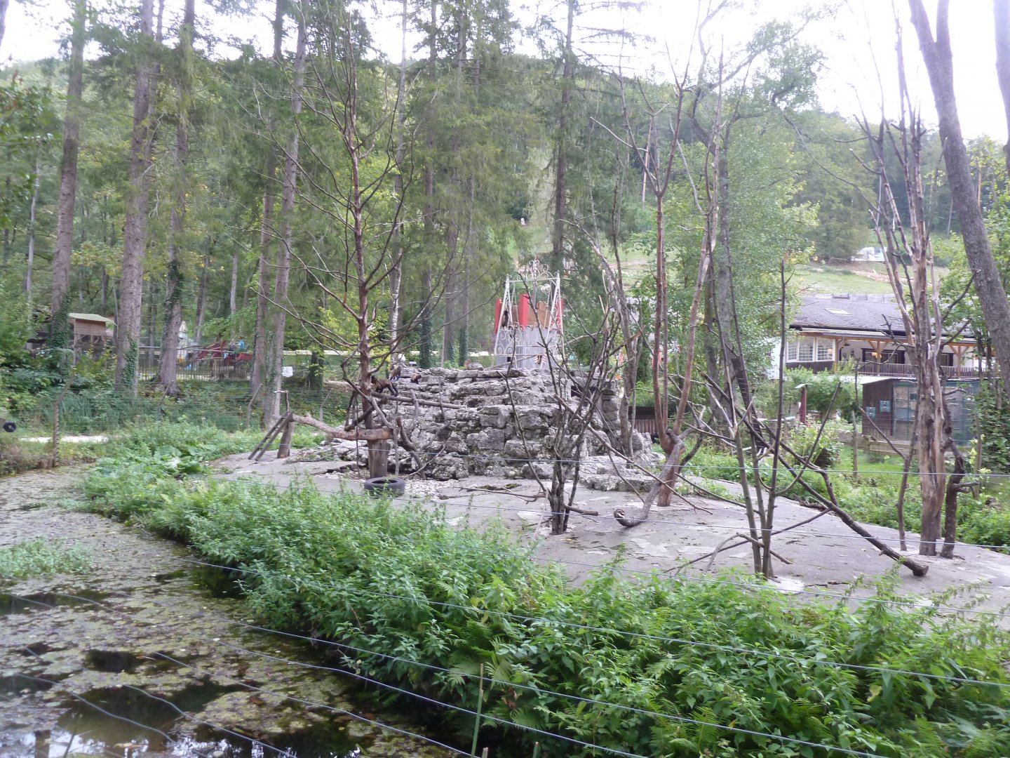 Sikypark Crémines - Black-capped capuchin enclosure