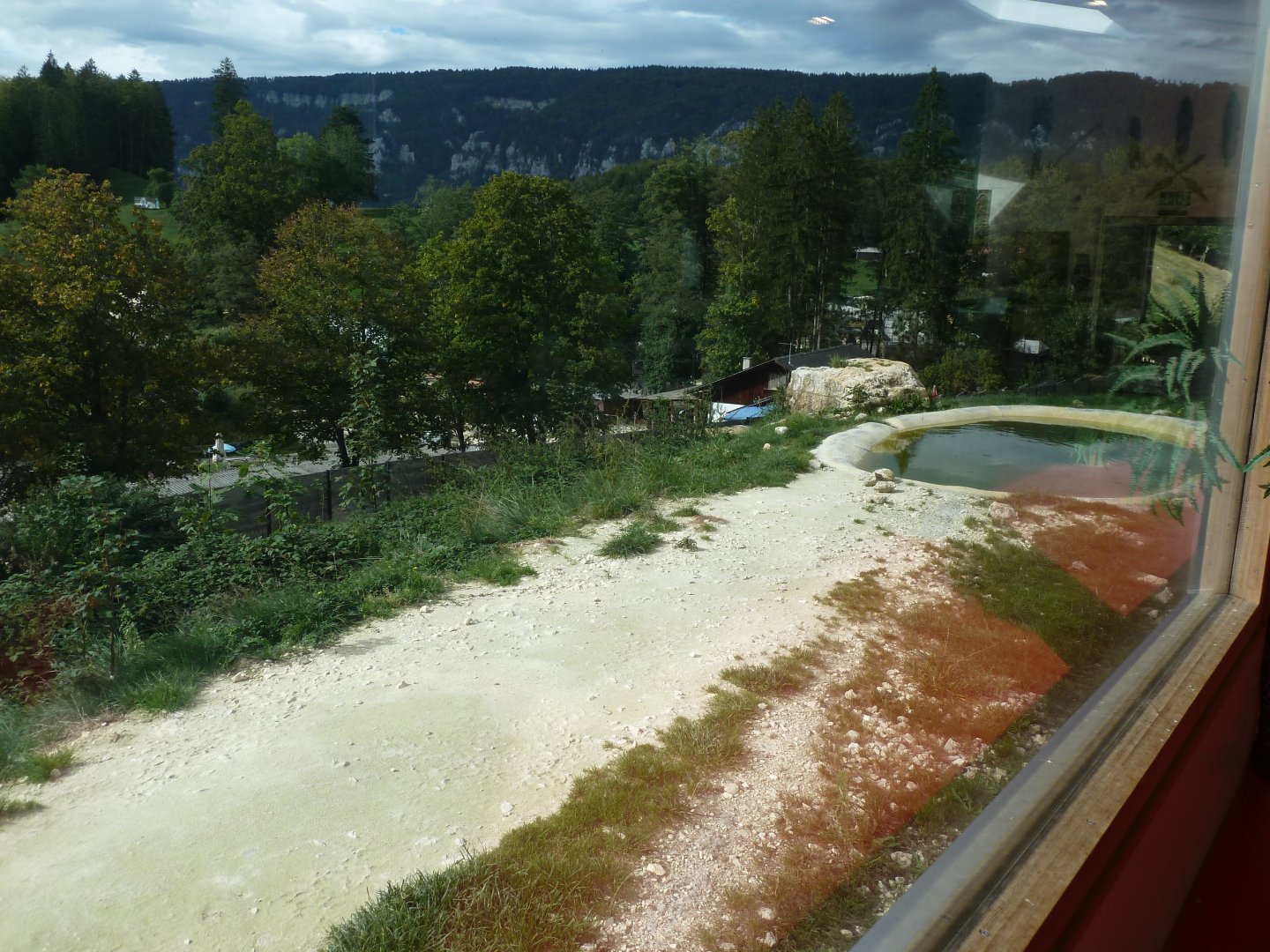 Sikypark Crémines - Inside the lion house - Main enclosure