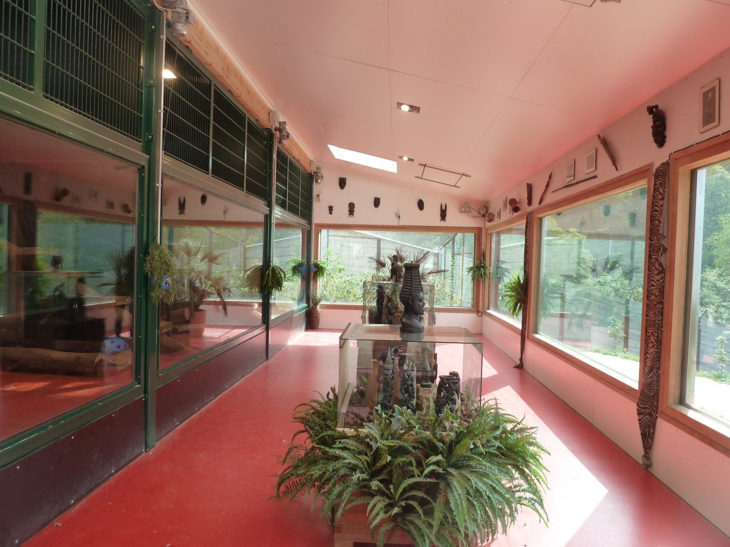 Sikypark Crémines - Inside the lion house