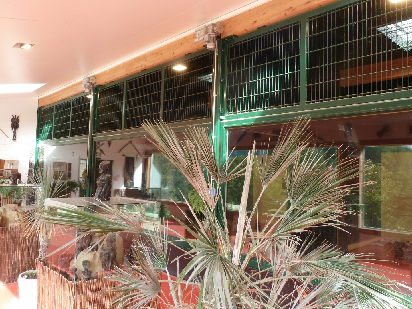 Sikypark Crémines - Inside the lion house