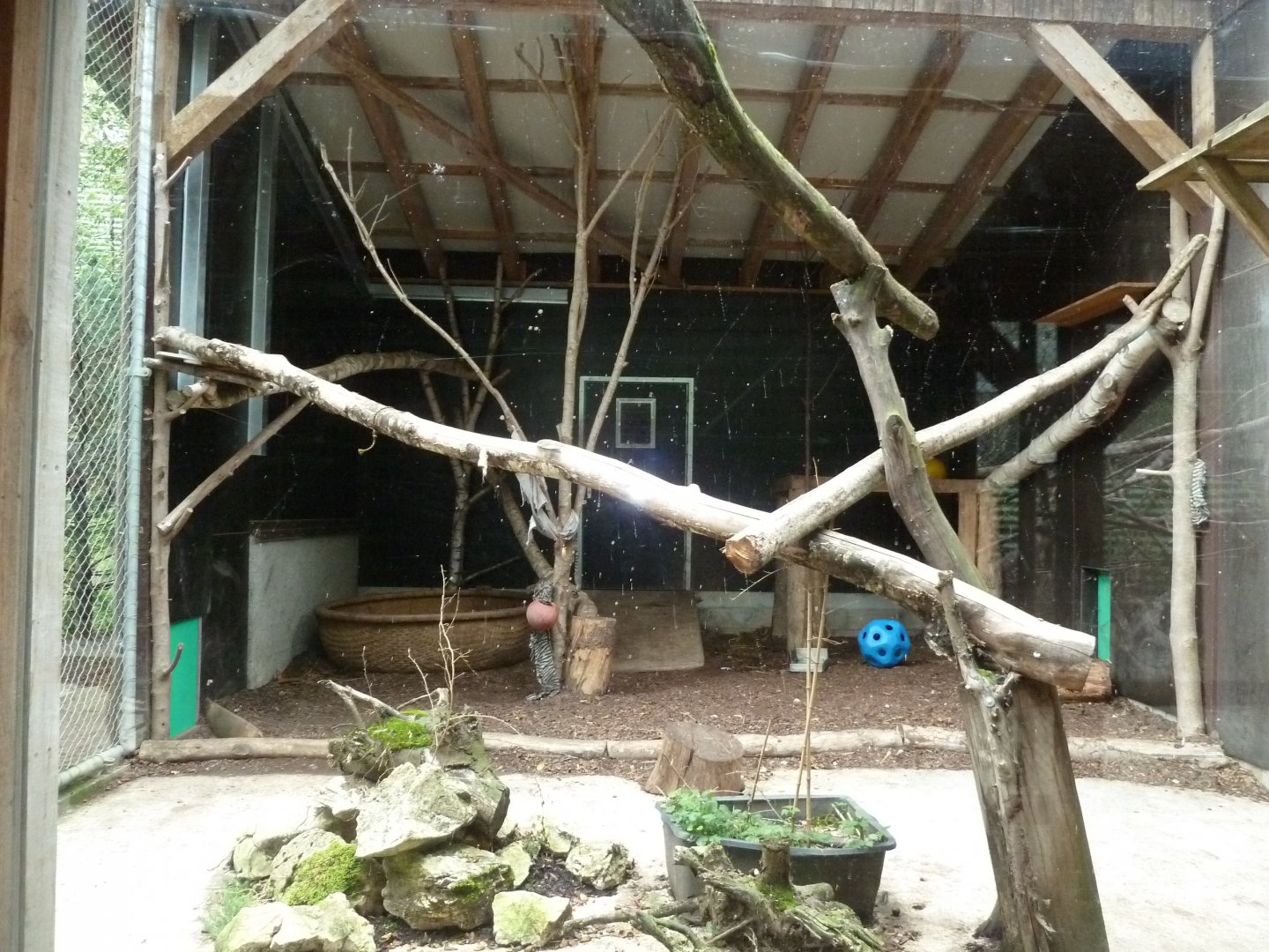 Sikypark Crémines - Leopard separation