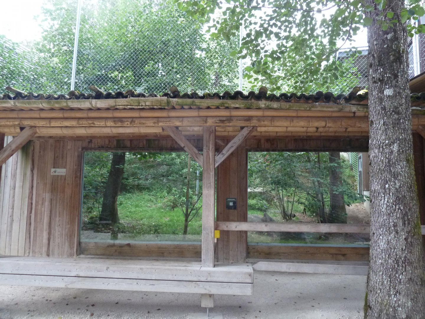 Sikypark Crémines - Leopard viewing point