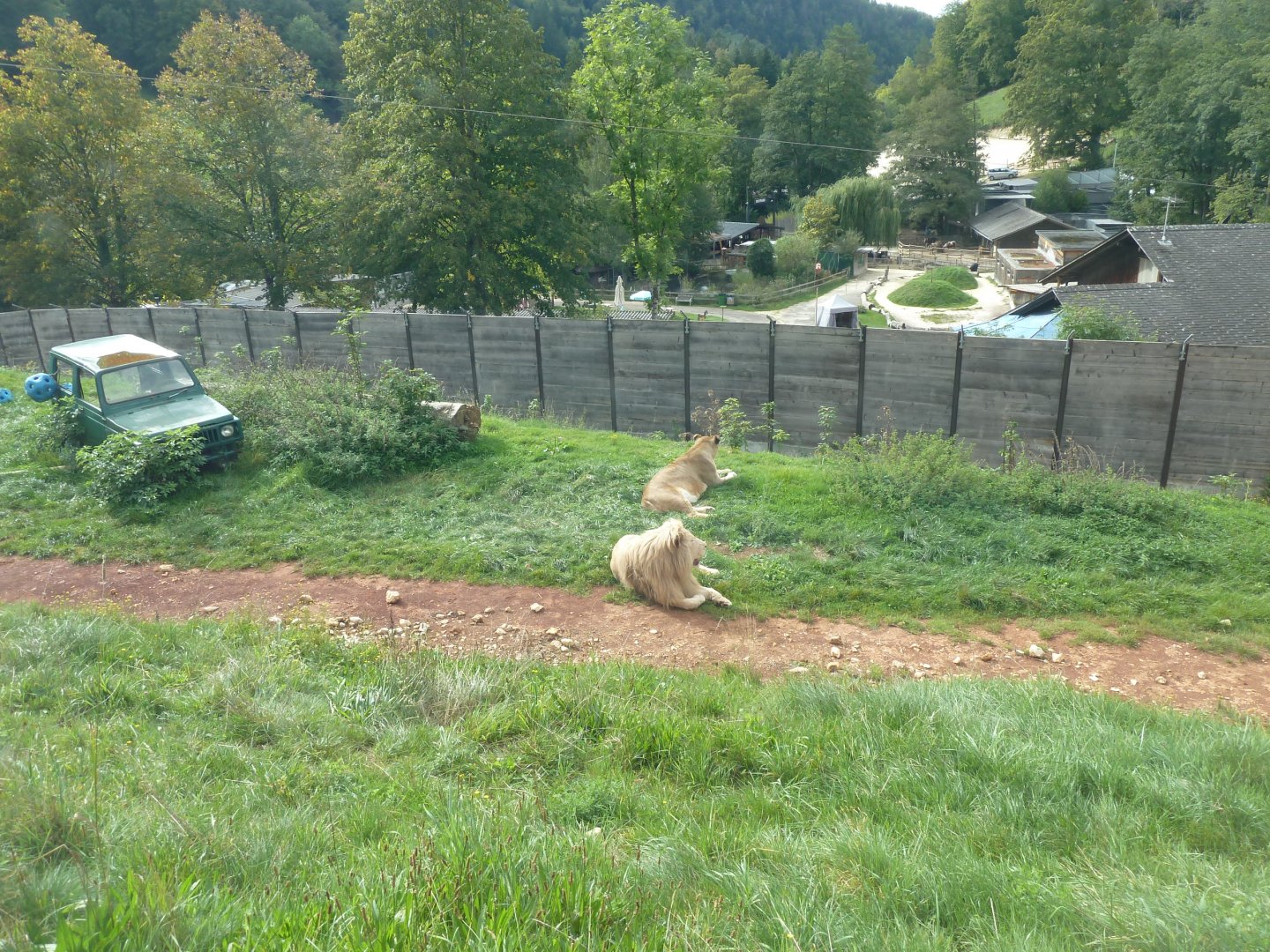 Sikypark Crémines - Lion enclosure