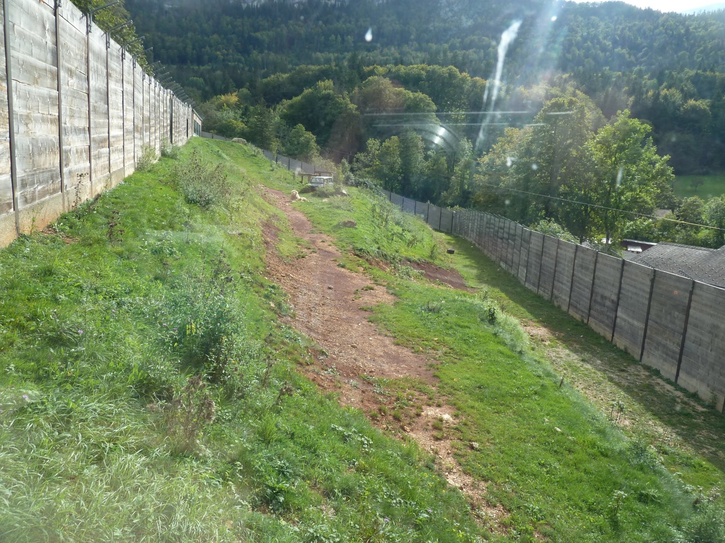 Sikypark Crémines - Lion enclosure