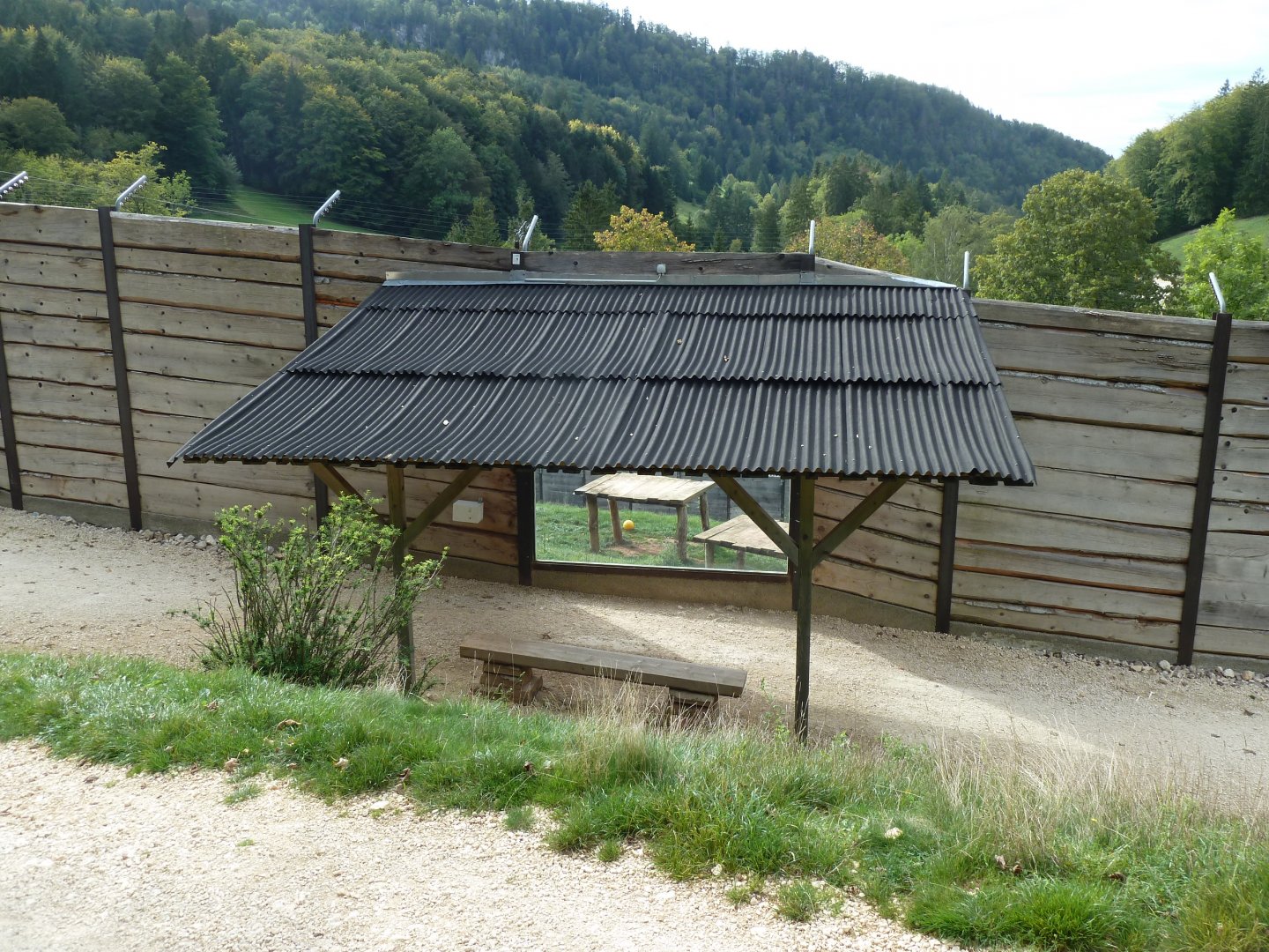 Sikypark Crémines - Lion viewing point