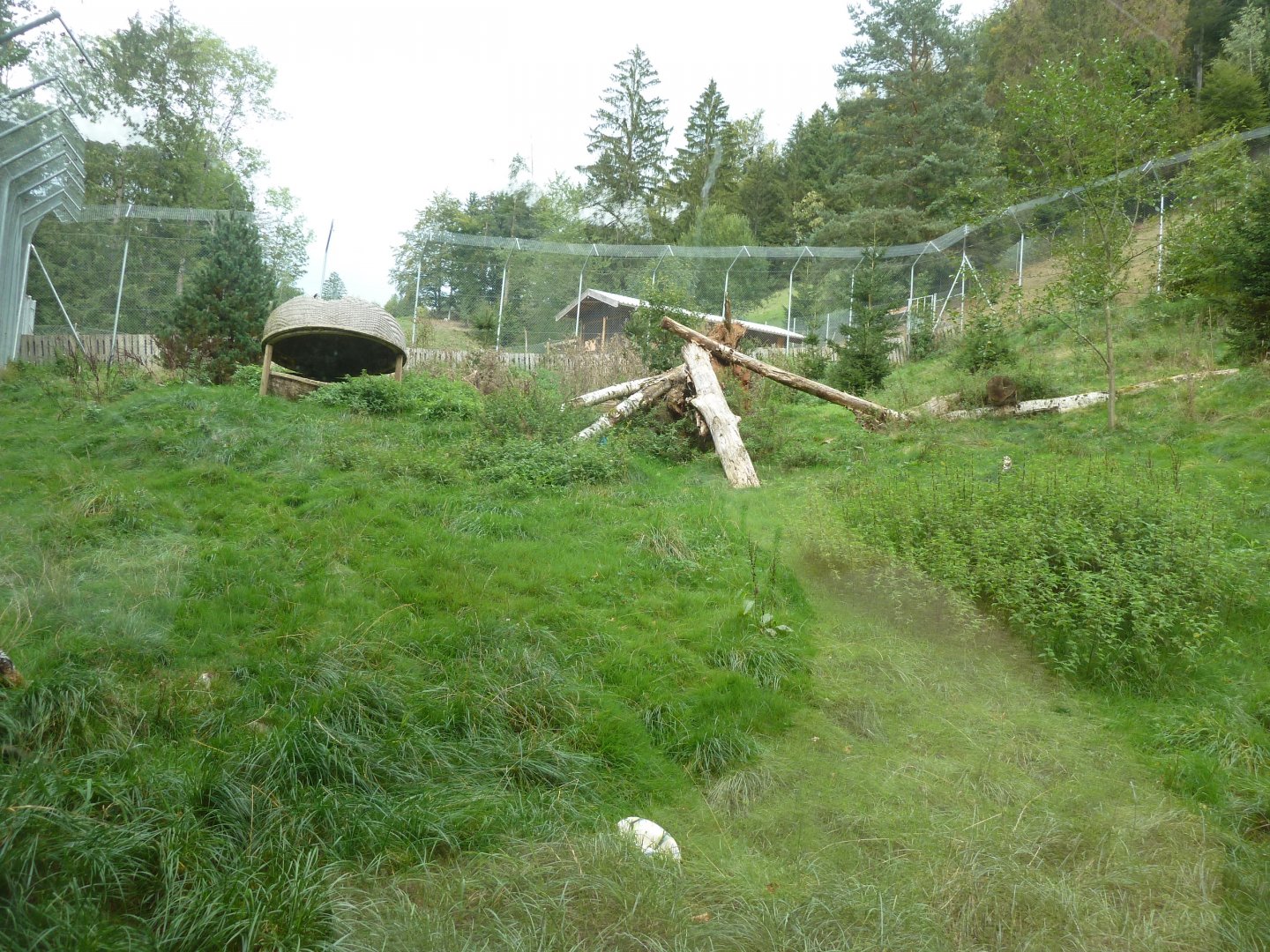 Sikypark Crémines - Northern lynx enclosure
